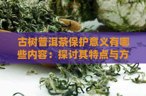 古树普洱茶保护意义有哪些内容：探讨其特点与方法