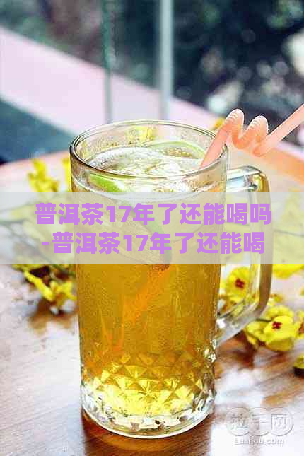 普洱茶17年了还能喝吗-普洱茶17年了还能喝吗为什么