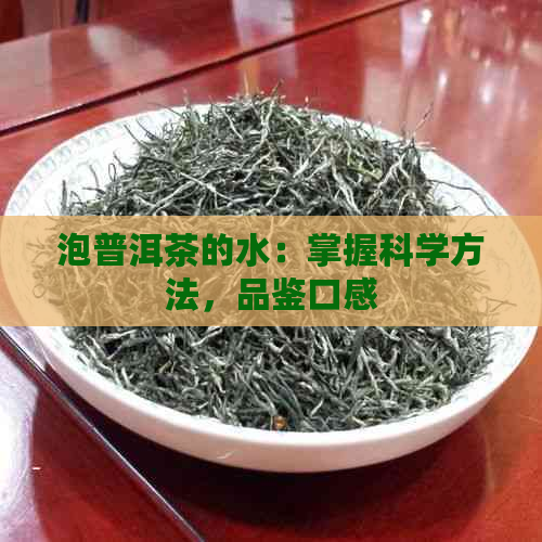 泡普洱茶的水：掌握科学方法，品鉴口感