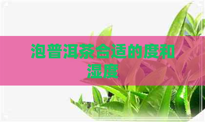 泡普洱茶合适的度和湿度