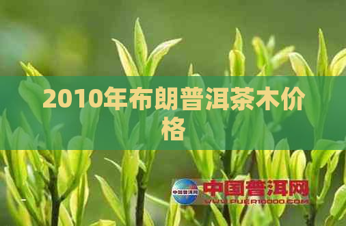 2010年布朗普洱茶木价格