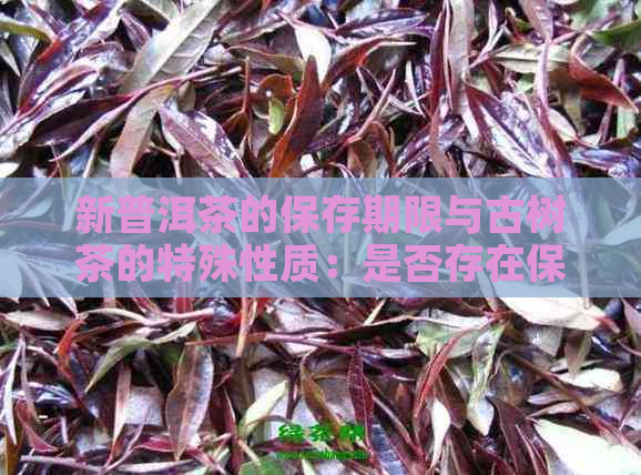 新普洱茶的保存期限与古树茶的特殊性质：是否存在保质期？