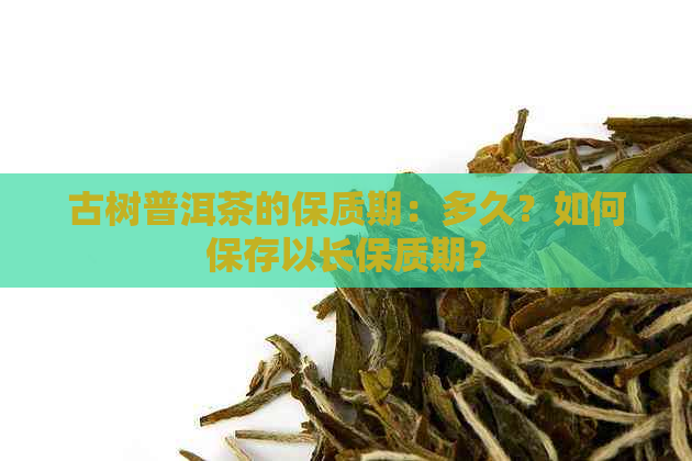 古树普洱茶的保质期：多久？如何保存以长保质期？