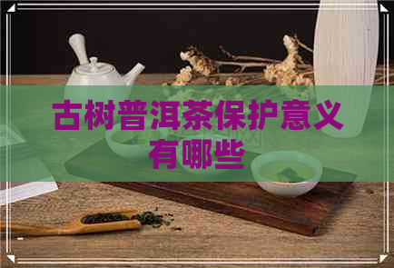 古树普洱茶保护意义有哪些