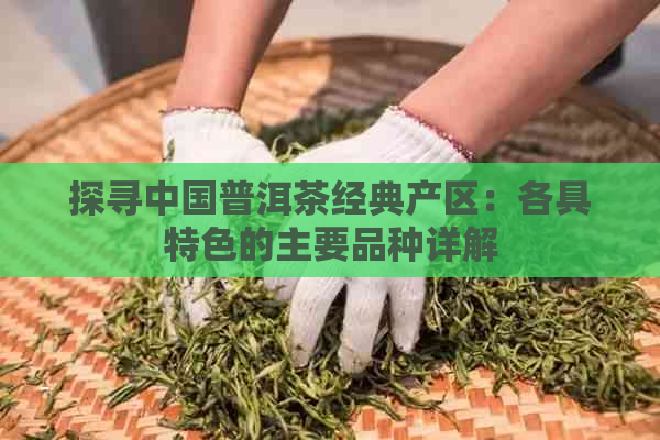 探寻中国普洱茶经典产区：各具特色的主要品种详解