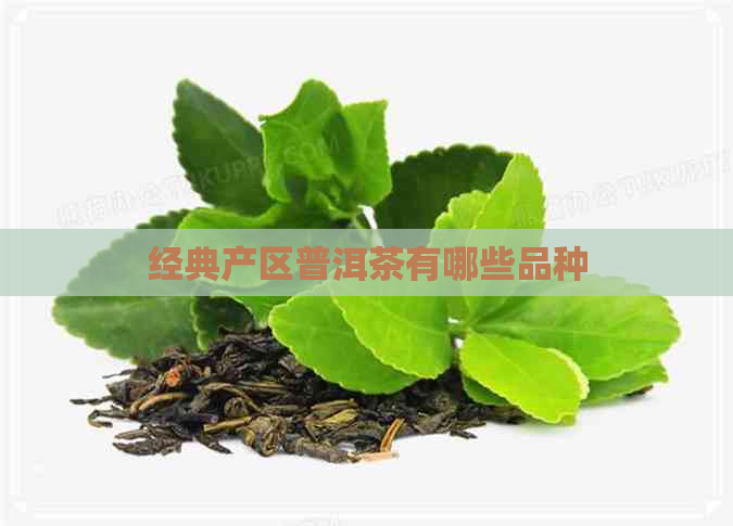 经典产区普洱茶有哪些品种