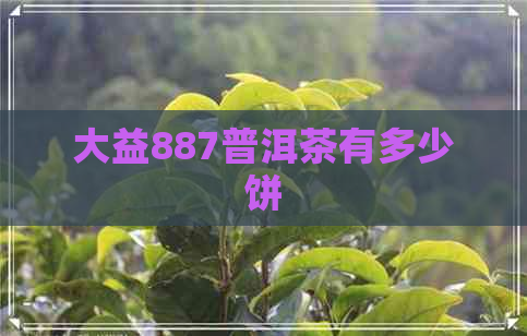 大益887普洱茶有多少饼