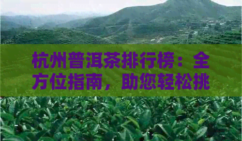 杭州普洱茶排行榜：全方位指南，助您轻松挑选优质普洱茶