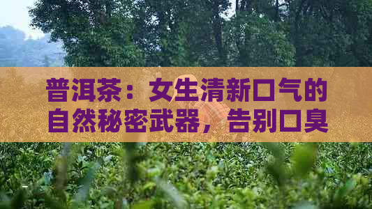 普洱茶：女生清新口气的自然秘密武器，告别口臭烦恼