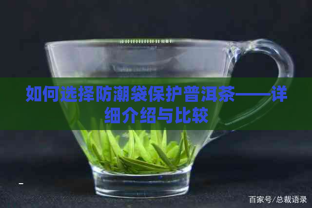 如何选择防潮袋保护普洱茶——详细介绍与比较