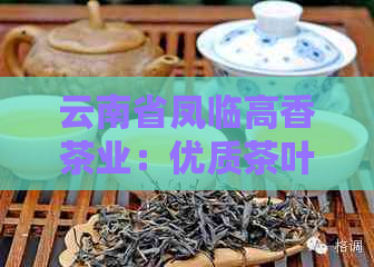 云南省凤临高香茶业：优质茶叶生产与供应，探索茶文化之美