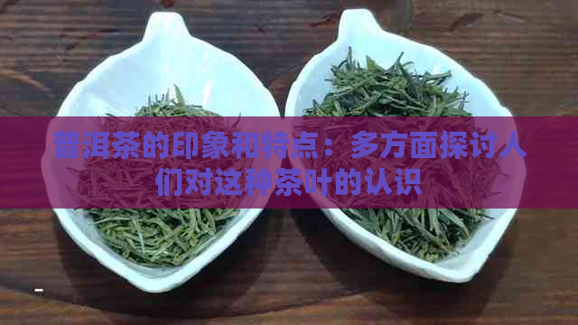 普洱茶的印象和特点：多方面探讨人们对这种茶叶的认识