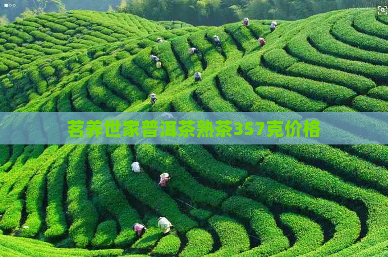 茗养世家普洱茶熟茶357克价格