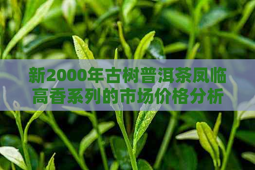 新2000年古树普洱茶凤临高香系列的市场价格分析及收藏价值探讨