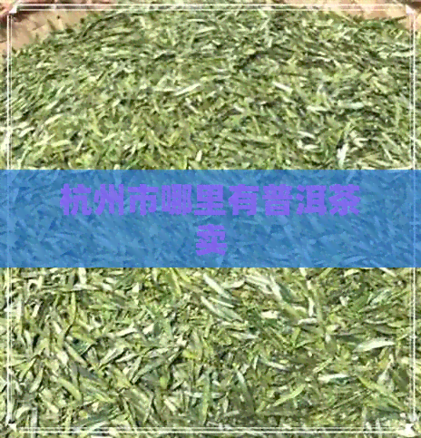 杭州市哪里有普洱茶卖