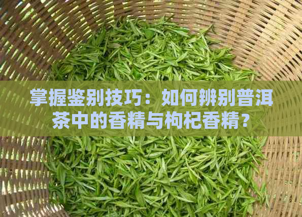 掌握鉴别技巧：如何辨别普洱茶中的香精与枸杞香精？