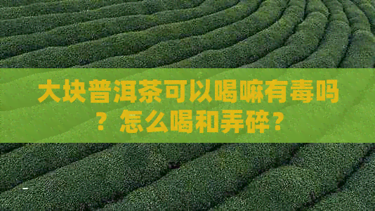 大块普洱茶可以喝嘛有吗？怎么喝和弄碎？