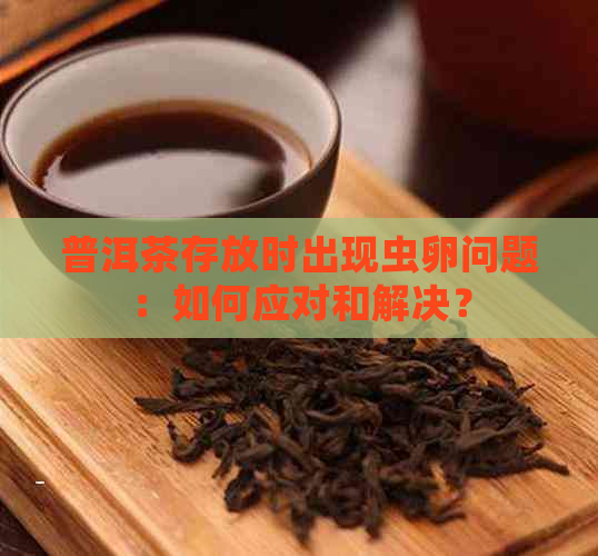 普洱茶存放时出现虫卵问题：如何应对和解决？