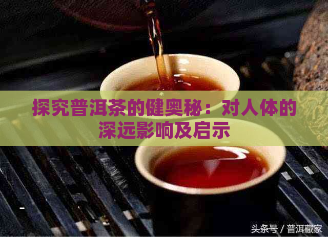 探究普洱茶的健奥秘：对人体的深远影响及启示