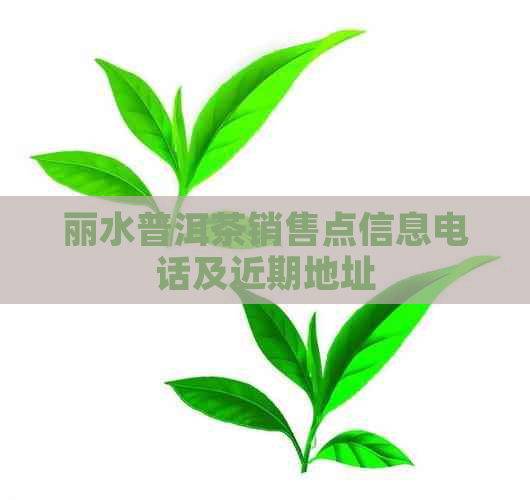 丽水普洱茶销售点信息电话及近期地址