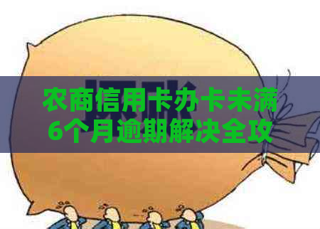 农商信用卡办卡未满6个月逾期解决全攻略：如何应对、期还款及影响分析