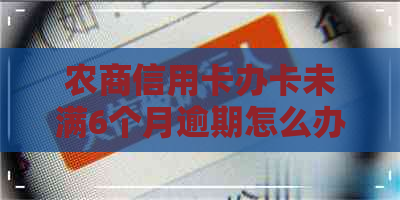 农商信用卡办卡未满6个月逾期怎么办