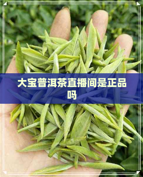 大宝普洱茶直播间是正品吗