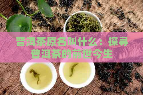 普洱茶原名叫什么：探寻普洱茶的前世今生