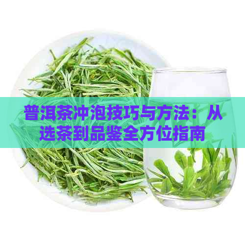 普洱茶冲泡技巧与方法：从选茶到品鉴全方位指南