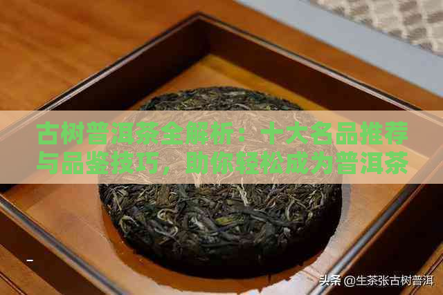 古树普洱茶全解析：十大名品推荐与品鉴技巧，助你轻松成为普洱茶专家