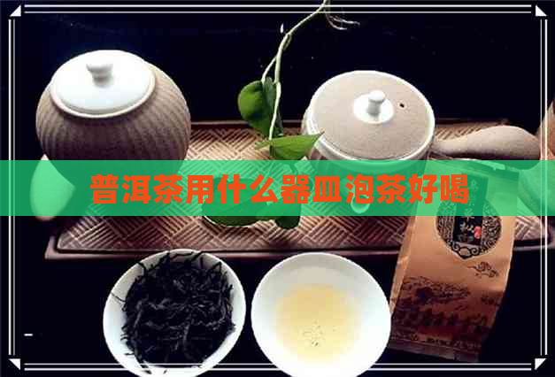 普洱茶用什么器皿泡茶好喝