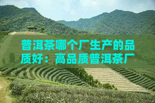 普洱茶哪个厂生产的品质好：高品质普洱茶厂家推荐