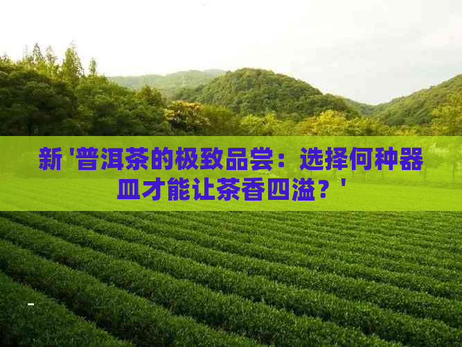 新 '普洱茶的极致品尝：选择何种器皿才能让茶香四溢？'