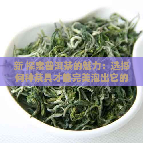 新 探索普洱茶的魅力：选择何种茶具才能完美泡出它的风味