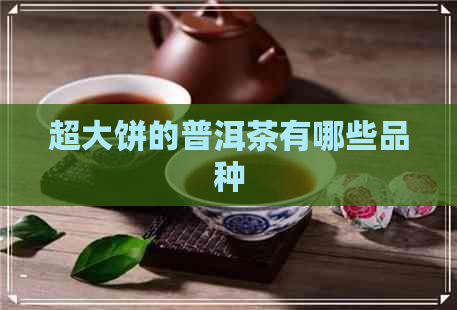 超大饼的普洱茶有哪些品种