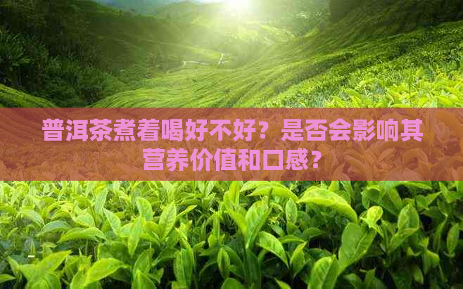 普洱茶煮着喝好不好？是否会影响其营养价值和口感？