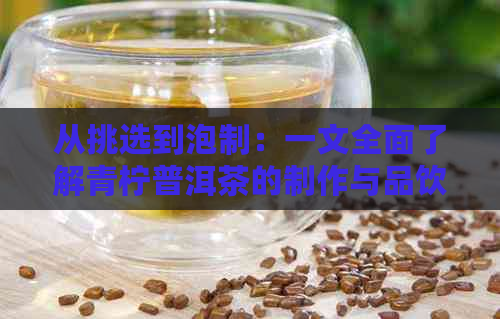 从挑选到泡制：一文全面了解青柠普洱茶的制作与品饮方法