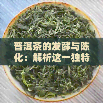 普洱茶的发酵与陈化：解析这一独特转化过程的意义