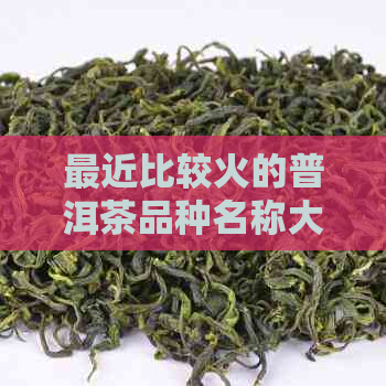 最近比较火的普洱茶品种名称大全，探寻市场热点