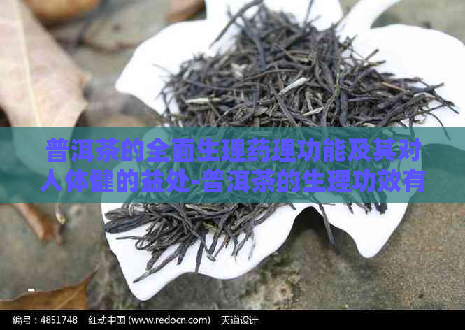 普洱茶的全面生理药理功能及其对人体健的益处-普洱茶的生理功效有哪些?