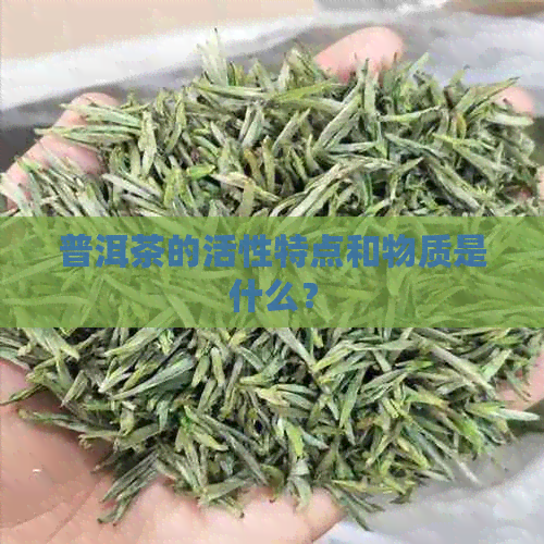 普洱茶的活性特点和物质是什么？