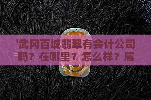 '武冈百城翡翠有会计公司吗？在哪里？怎么样？属于哪个街道？'