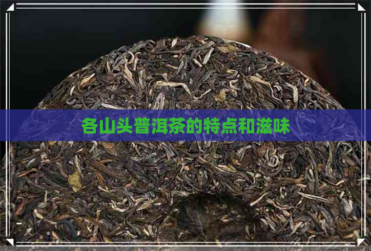 各山头普洱茶的特点和滋味