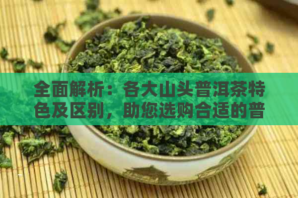 全面解析：各大山头普洱茶特色及区别，助您选购合适的普洱茶