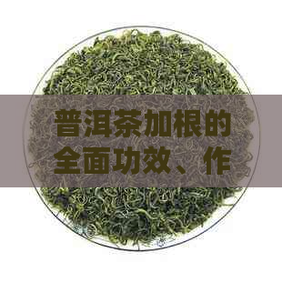 普洱茶加根的全面功效、作用与禁忌：一篇详尽解析，解答您的所有疑问