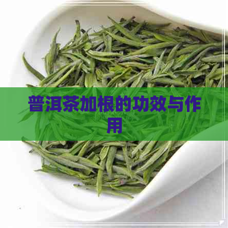 普洱茶加根的功效与作用