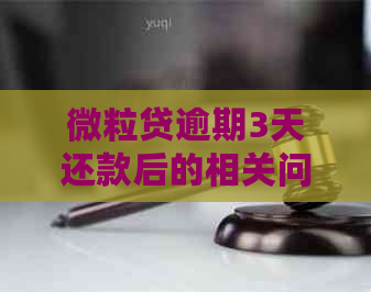 微粒贷逾期3天还款后的相关问题解决方法与注意事项