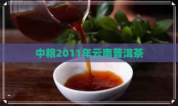 中粮2011年云南普洱茶