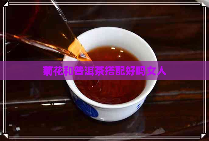 菊花和普洱茶搭配好吗女人