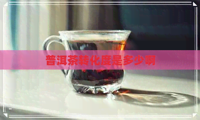 普洱茶转化度是多少啊